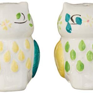 Floral Owl Salt & Pepper Shakers, Hand-painted Ceramic by Boston Warehouse, 2-Piece Set, Multicolor