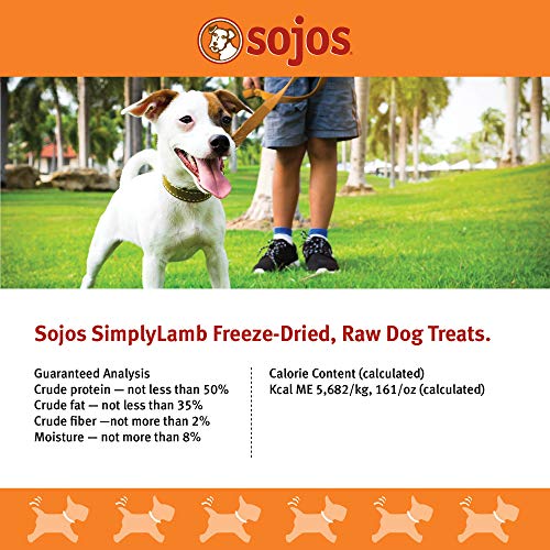 Sojos Simply Lamb Freeze-Dried Dog Treats, 4 oz