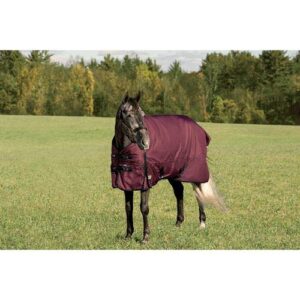 Rider's International by Dover Saddlery Supreme Heavyweight Turnout Blanket, Size 84, Burgundy/Black