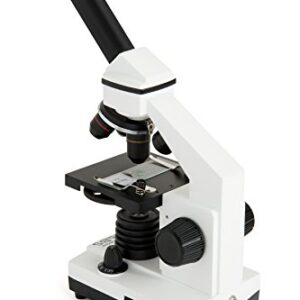 Celestron – Celestron Labs – Monocular Head Compound Microscope – 40-800x Magnification – Adjustable Mechanical Stage – Includes 2 Eyepieces and 10 Prepared Slides