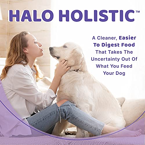 Halo Spot's Stew Toy/Small Breed Healthy Weight Adult - Grain Free Whitefish & Salmon - 4lb