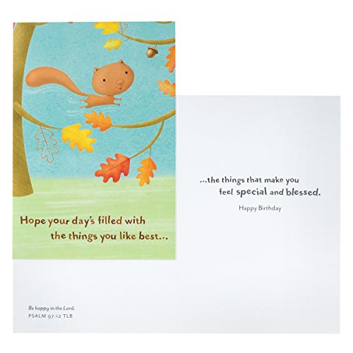 DaySpring Birthday - Inspirational Boxed Cards - Happy Critters - 36622