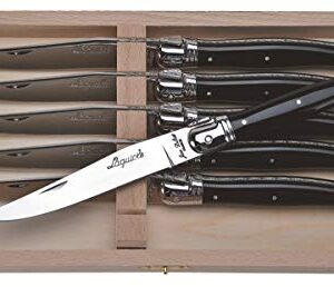 Jean Dubost Laguiole 6 Steak Knives Set, Acrylic Black