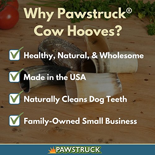 Pawstruck Natural Cow Hooves for Dogs (10 Pack) - Made in The USA Bulk Dog Dental Treats & Dog Chews Beef Hoof, American Made