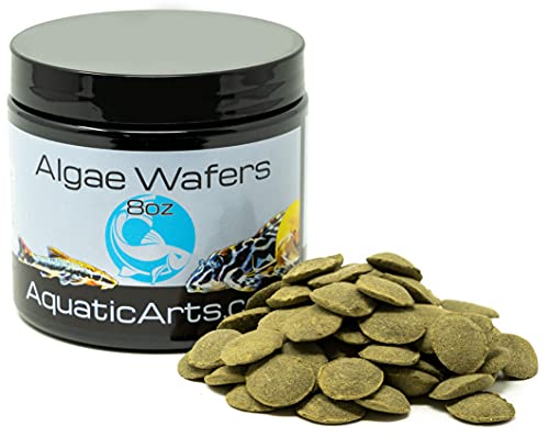 Aquatic Arts Algae Wafers (8 Ounce) Sinking Food for Live Aquarium Shrimp, Fish (Pleco/Tetra), Snails, and Bottom Feeders | High Protein Spirulina Blend Fish Food for Fish Tank Aquariums