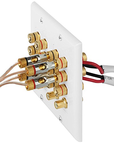 Fosmon 2-Gang 7.1 Surround Sound Distribution Home Theater Wall Plate, Gold Plated 7-Pair Copper Binding Posts Coupler Type for 7 Speakers, 2 RCA Jack for Subwoofer