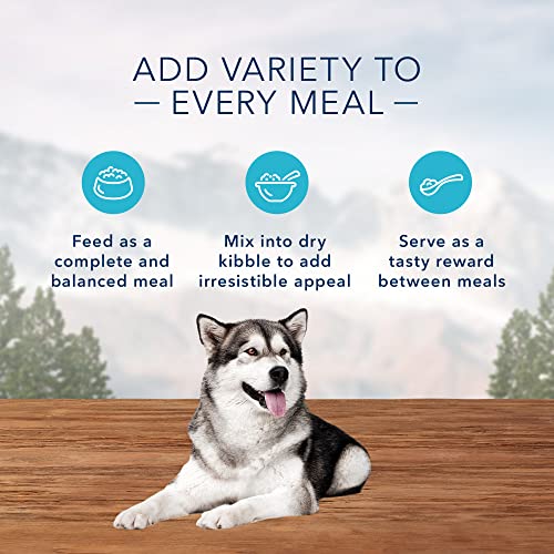 Blue Buffalo Wilderness Wolf Creek Stew High Protein, Natural Wet Dog Food, Chunky Chicken Stew in gravy 12.5-oz cans (Pack of 12)