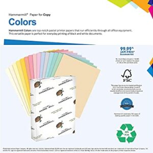 Hammermill Colored Paper, 20 lb Canary Printer Paper, 8.5 x 11-1 Ream (500 Sheets) - Made in the USA, Pastel Paper, 103341R, 1 Ream | 500 Sheets, Letter (8.5x11)