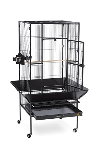 Prevue Pet Products 3352BLK Park Plaza Bird Cage, Black Hammertone, Large