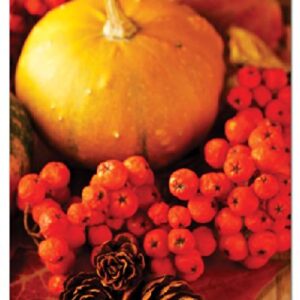 Note Card Cafe Thanksgiving Cards With Kraft Envelopes | 72 Pack | A Bountiful Thanksgiving Design Assortment | Blank Inside, Glossy Finish | For Holiday, Autumn, Fall