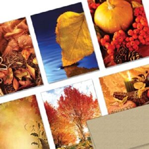 Note Card Cafe Thanksgiving Cards With Kraft Envelopes | 72 Pack | A Bountiful Thanksgiving Design Assortment | Blank Inside, Glossy Finish | For Holiday, Autumn, Fall