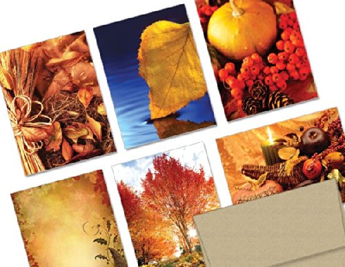 Note Card Cafe Thanksgiving Cards With Kraft Envelopes | 72 Pack | A Bountiful Thanksgiving Design Assortment | Blank Inside, Glossy Finish | For Holiday, Autumn, Fall