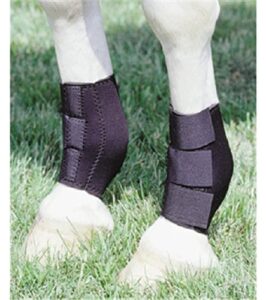 neoprene ankle boots hind legs boots leg protection care horse barrel racing reining training