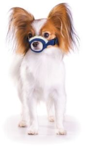 zittop cozy quick muzzle four flags x-small, blue