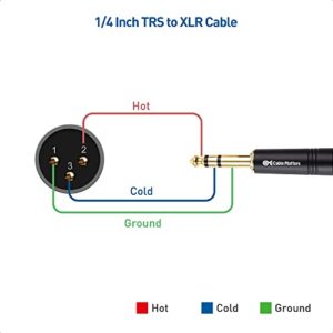 Cable Matters 6.35mm (1/4 Inch) TRS to XLR Cable 6 ft Male to Male (XLR to TRS Cable, XLR to 1/4 Cable, 1/4 to XLR Cable)