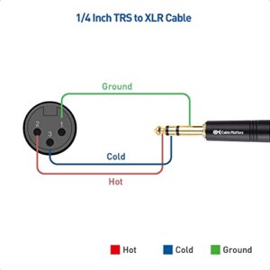 Cable Matters 6.35mm (1/4 Inch) TRS to XLR Cable 3 ft Male to Female (XLR to TRS Cable, XLR to 1/4 Cable, 1/4 to XLR Cable)