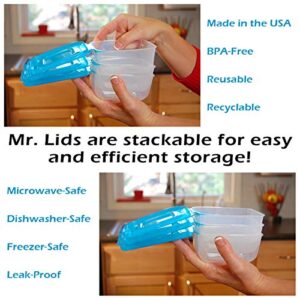 Mr. Lid Premium Attached Storage Containers | Permanently Attached Plastic Lid, Never Lose | Space Saving (10 Piece Set)