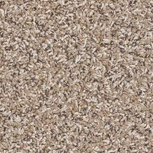 koeckritz 6"x6" sample (unbound) frieze - sagebrush 25oz - plush textured carpet for residential or commercial use.