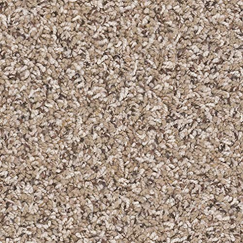 KOECKRITZ 6"x6" Sample (Unbound) Frieze - Sagebrush 25oz - Plush Textured Carpet for Residential or Commercial use.