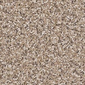 KOECKRITZ 6"x6" Sample (Unbound) Frieze - Sagebrush 25oz - Plush Textured Carpet for Residential or Commercial use.