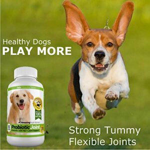 Amazing Probiotics for Dogs Eliminates Diarrhea and Gas with Hip Joint Pain Relief, 120 Chews