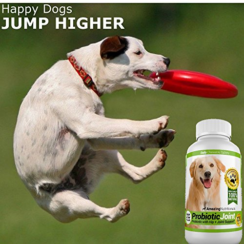 Amazing Probiotics for Dogs Eliminates Diarrhea and Gas with Hip Joint Pain Relief, 120 Chews