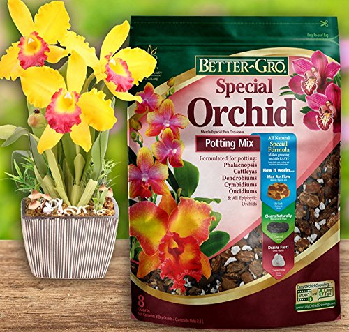 Sun Bulb 50000 Better Gro Special Orchid Mix, 4-Quart