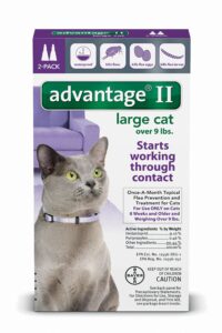 advantage ii flea control large cat (for cats over 9 lbs.) - 2 month