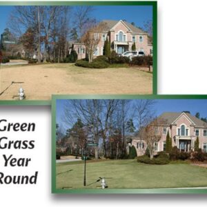 EnviroColor 4EG0032 851612002100 (1,000 Sq.Ft) 4Evergreen Grass & Turf Paint, Green