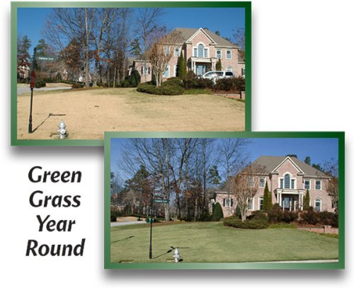 EnviroColor 4EG0032 851612002100 (1,000 Sq.Ft) 4Evergreen Grass & Turf Paint, Green