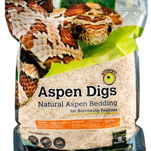 Galápagos (05064) Aspen Digs Shavings Bedding, 8-Quart, Natural