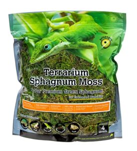 galápagos (05213) terrarium green sphagnum moss, natural, 4 quart