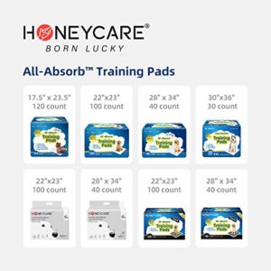 HONEY CARE All-Absorb 20 Count Cat Litter Pads, 17.1 by 11.8-Inch