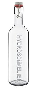 luigi bormioli pictura hydro sommelier bottle, 34-ounce, clear