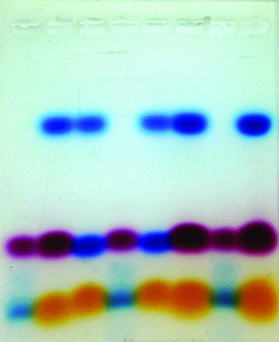 Walter Modern Biology Experimental Kit: MBII24HS An Introduction to Electrophoresis