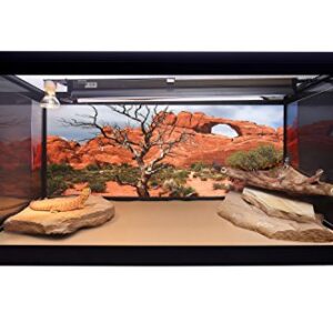 CAROLINA CUSTOM CAGES Reptile Habitat Background, Arch with Tree, 15.75" x 36"