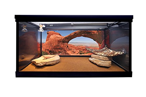 Carolina Custom Cages Reptile Habitat Background, Big Arch, 15.75" x 36"