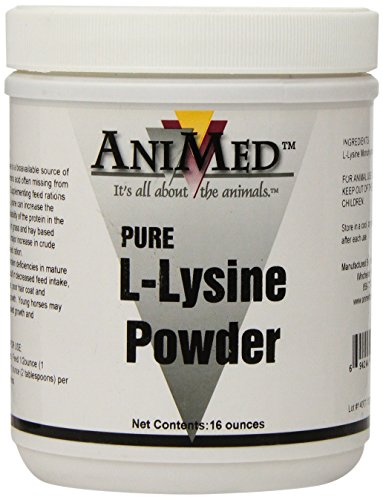 AniMed L-Lysine for Horses, 16-Ounce