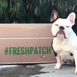 Fresh Patch XL - Real Grass Pee and Potty Training Pad for Large Dogs and Multi-Dog Households - Indoor and Outdoor Use - 48 Inches x 24 Inches