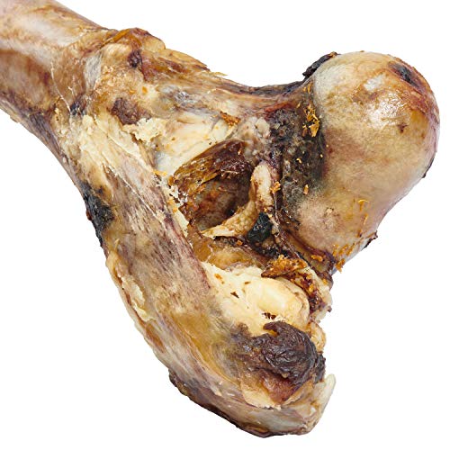 EcoKind Dog Bone Giant Femur Bone for Dogs | 1 Bone | Long Lasting Mammoth Dog Bones for Aggressive Chewers, Rawhide Free Healthy Dog Treat, Large Bones, Digestible Dog Chews & USDA Certified