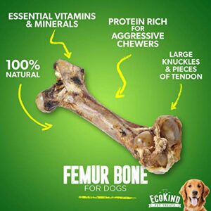 EcoKind Dog Bone Giant Femur Bone for Dogs | 1 Bone | Long Lasting Mammoth Dog Bones for Aggressive Chewers, Rawhide Free Healthy Dog Treat, Large Bones, Digestible Dog Chews & USDA Certified