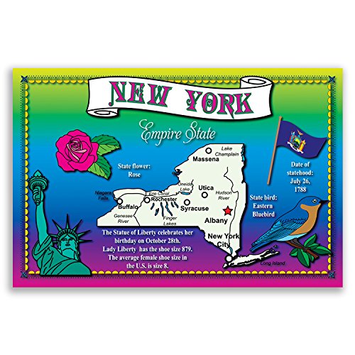 U.S. State Map Postcard Set. 50 modern post card variety pack. Illustrated postcards with maps of all fifty states of the United States of America. Made in USA.