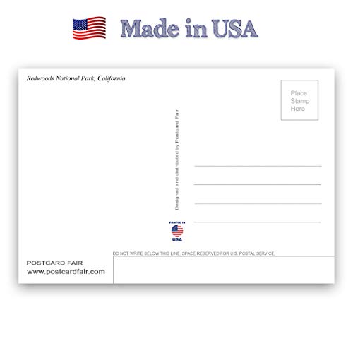 AMERICA THE BEAUTIFUL postcard set of 20. Post card variety pack depicting United States travel sites and American theme postcards. Made in USA.