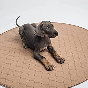 EZwhelp Washable Whelping Dog Pee Pads - Waterproof and Reusable Potty Training Floor Pads - Absorbent Dog Training Bed - Puppy Training Pads Supplies, Absorbent Pet Pen Floor Pad Puppies, 48-in