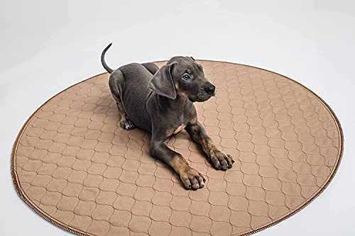 EZwhelp Washable Whelping Dog Pee Pads - Waterproof and Reusable Potty Training Floor Pads - Absorbent Dog Training Bed - Puppy Training Pads Supplies, Absorbent Pet Pen Floor Pad Puppies, 48-in