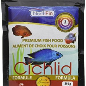 Northfin Cichlid