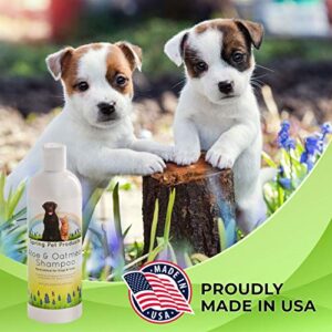 Spring Pet Aloe and Oatmeal Shampoo for Dogs and Cats ~ 16 Oz Veterinarians Choice Hypoallergenic Formula Blend of Coat and Skin Conditioners and Moisturizers Made in USA