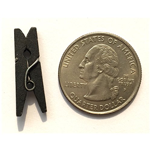 LWR CRAFTS Wooden Mini Clothespins 500 Per Pack 1" 2.5cm (Black)