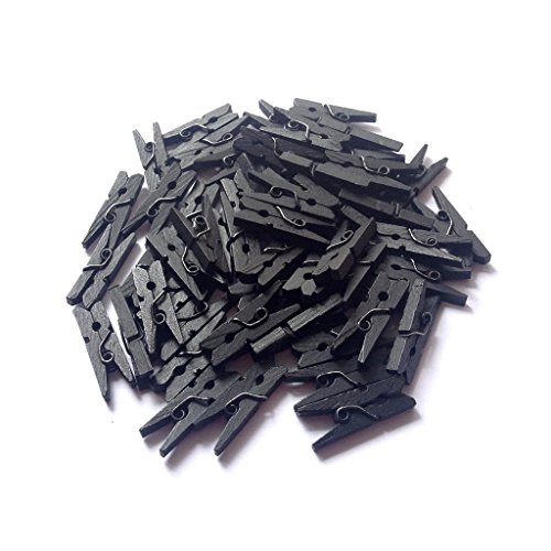 LWR CRAFTS Wooden Mini Clothespins 500 Per Pack 1" 2.5cm (Black)