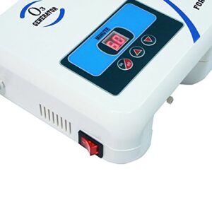 Gain Express Enaly Ozone Generator OZX-300AT 500mG/hr Home O3 Generator with Air Dryer/Timer/Adjustable Output